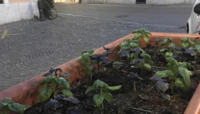 Stadtli Imbiss Webseite - Wangen An Der Aare