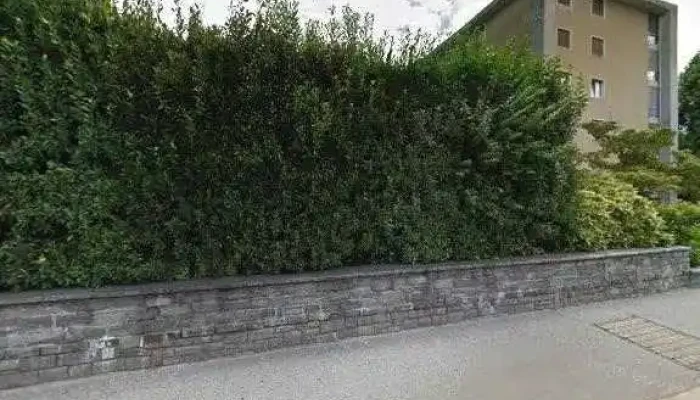 Stazione Di Servizio Tamoil Ascona -  Street View 360deg Fotos - Ascona