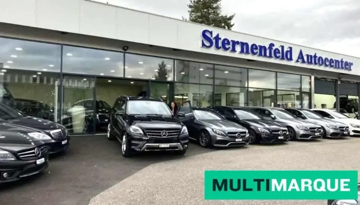 Sternenfeld Autocenter Ag Birsfelden -  Vom Inhaber - Birsfelden