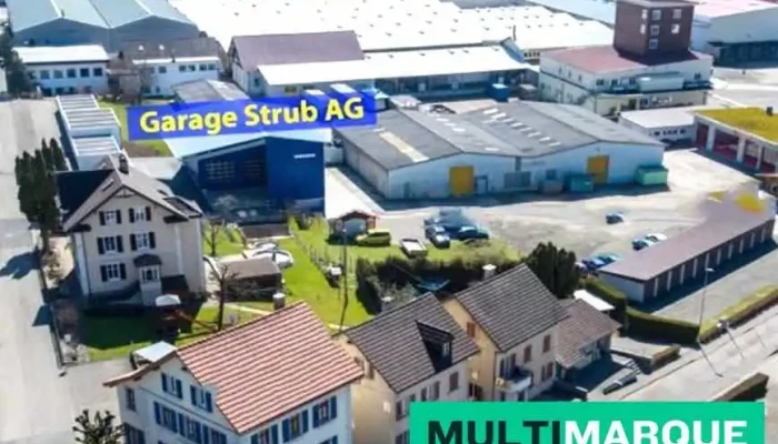 Strub Ag - Läufelfingen