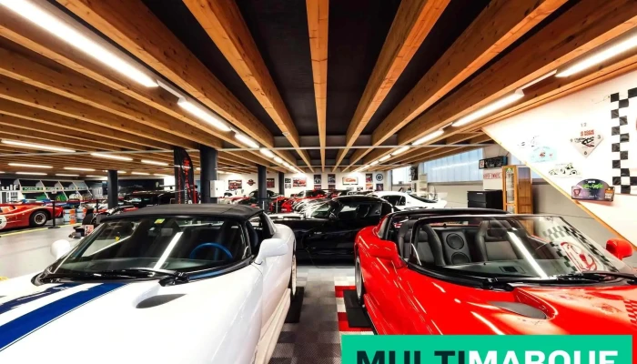 Swiss Viper Museum -  Alle - Givisiez