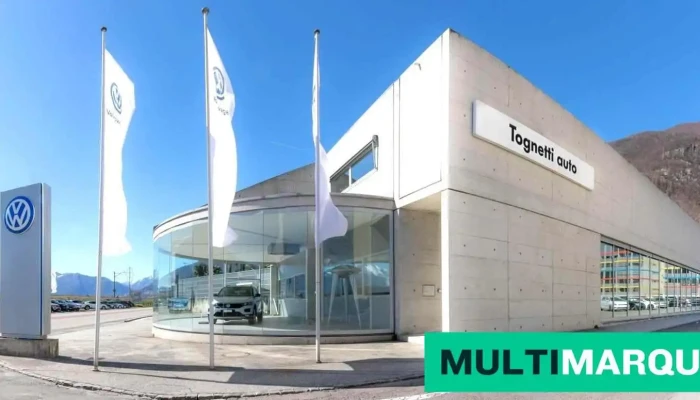 Tognetti Auto Sa Volkswagen -  Alle - Gordola