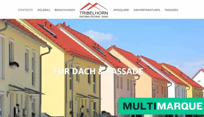 Tribelhorn Dachbautechnik Gmbh   Holzbau Bedachungen Spenglerei Dachreparaturen Baselland Alle - Nenzlingen