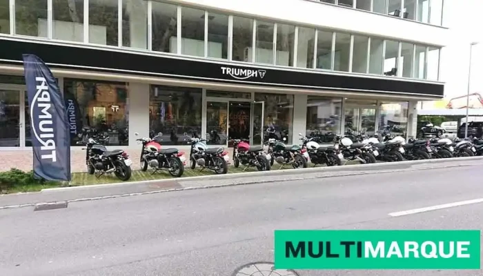 Triumph Lugano -  Alle - Lamone