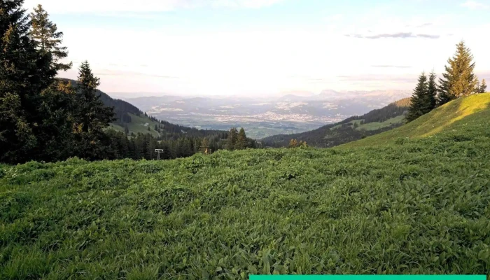 Türliboden oben - Schweiz