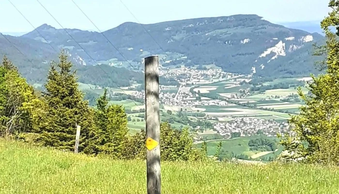 Untere Tannmatt -  Offnungszeiten - Herbetswil