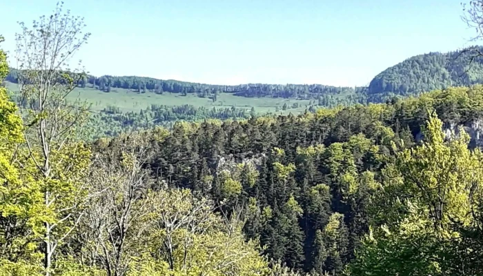 Untere Tannmatt -  Wegbeschreibung - Herbetswil