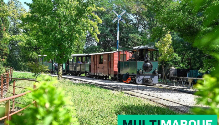 Verein Schinznacher Baumschulbahn -  Alle - Schinznach-dorf