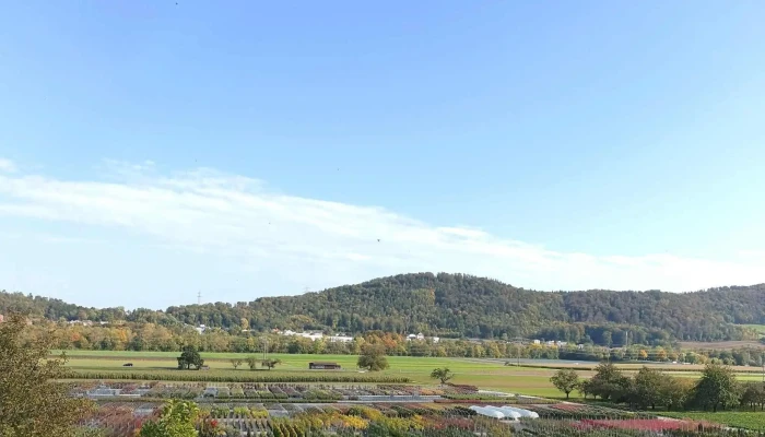 Verein Schinznacher Baumschulbahn -  Offnungszeiten - Schinznach-dorf
