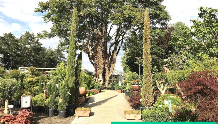 Vivero Pflanzen -  Garten - Hölstein