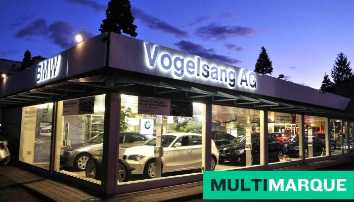 Vogelsang Ag - Grenchen