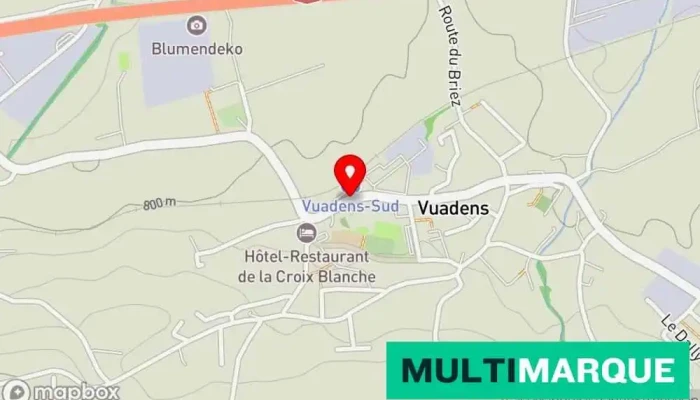 Vuadens Gare Karte - Vuadens
