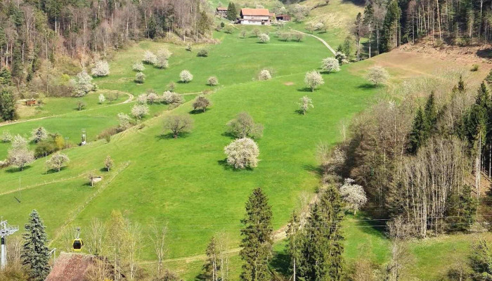 Wasserfallen -  Alle - Waldenburg