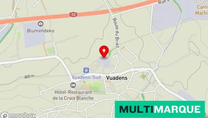 Wego Hotel -  Karte - Vuadens