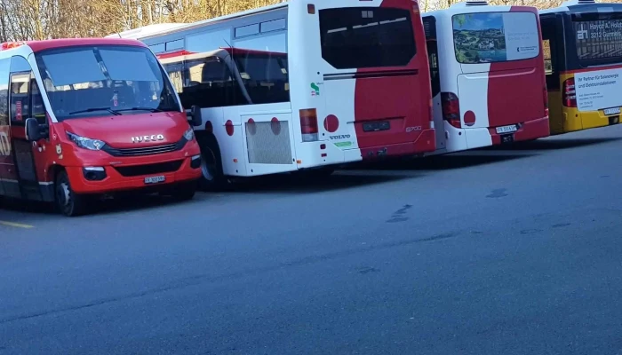 Wielandbus Ag -  Kommentare - Gurwolf