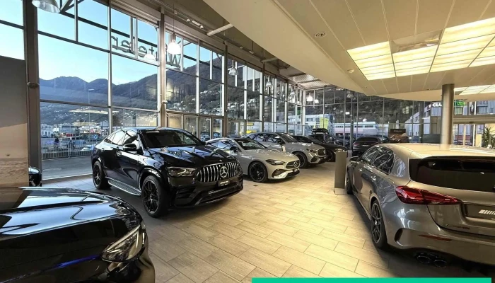 Winteler Co Sa   Mercedes Benz Alle - Lavertezzo