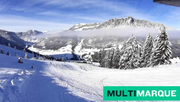 Wiriehornbahnen Ag - Diemtigen