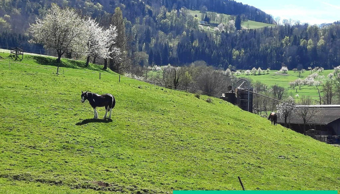 Ziefen -  Berg - Ziefen