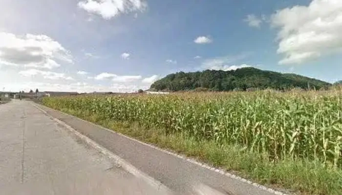 Zingg Transport Ag -  Alle - Sugiez
